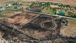 Hobi bahçesindeki 'yılan' için 60 dönümlük araziyi yaktılar!