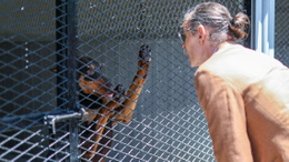 Erdal Beşikçioğlu'ndan Etimesgut'a 300 kapasiteli yeni hayvan barınağı müjdesi