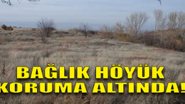 Bağlık Höyük koruma altında!