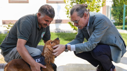 Etimesgut Belediyesi sahipsiz köpekleri sahiplendiriyor