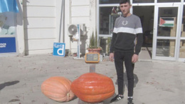 Elmadağ’da 50 kilogramlık kabak şaşkına çevirdi