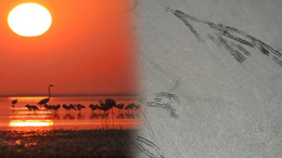 Kırşehir'de bulunan Seyfe Gölü Kuş Cenneti driftçilere kaldı!