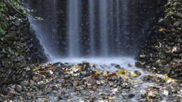 Seğmenler Parkı’nda sonbahar