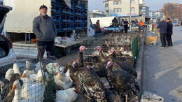 Yozgat Sorgun'da kanatlı hayvan pazarına kar yağışıyla talep artışı