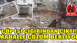 Ankara Altındağ'daki mahalleler çevre sağlığı için çözüm bekliyor!