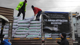 ABB'den deprem bölgesindeki hayvanlara yem desteği