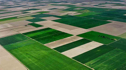 Konya Ovası son yılların en bereketli baharını yaşıyor