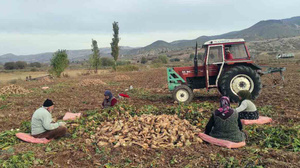 Yozgat'ta 'tatlı' dayanışma örneği