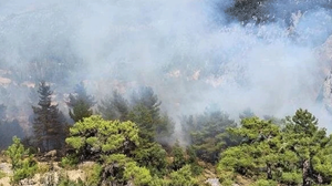 Antalya'da ormanlık alanda çıkan yangın kontrol altına alındı