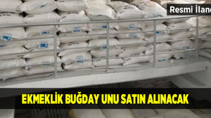 Ekmeklik Buğday Unu Satın Alınacak