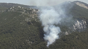 Muğla'da orman yangını