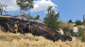 Nallıhan'da ormanlık alanda yangın!