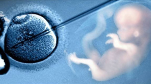 Yapay zeka, tüp bebekte en uygun embriyoyu daha hızlı seçiyor