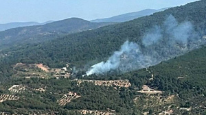 İzmir’de bir orman yangını daha