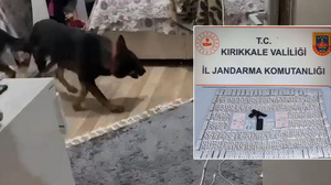 Narkotik Köpeği "Tepe" 3 bin 622 hapı buldu