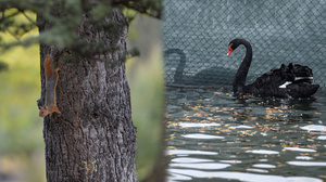 Kuğulu ve Seğmenler'den sonbahar manzaraları