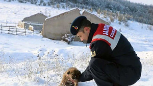 Yozgat'ta jandarmadan hayat kurtaran kahramanlık: "Nefes"in hikayesi