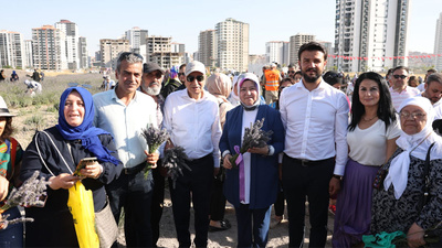 Keçiören Lavanta Bahçesi'nde hasat zamanı