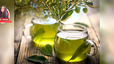 Zeytin yaprağı çayının faydalarını biliyor musunuz?