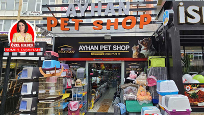 Pet Shopçular ekonomik zorlukla karşı karşıya