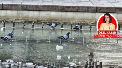 Güvercinler ve öğrenciler soğuk Ankara ayazının tadını çıkardı