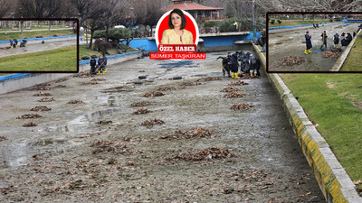 Ankara'nın göz bebeğinde temizlik ve bakım çalışmaları sürüyor..