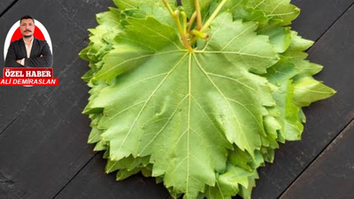 Asma yaprağınızı saklamanın yolu: Tuzlu ya da tuzsuz yöntemler