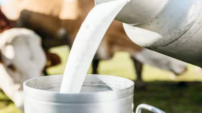 Süte büyük zam yolda