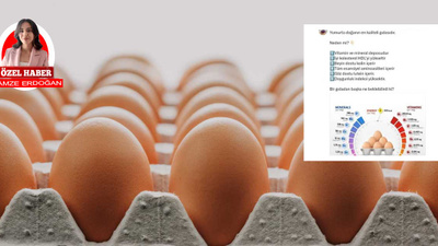 Yumurta fiyatları tekrardan yükselişe geçti