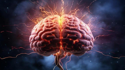 Bilim insanlarından önemli keşif: Hatıralar kalıcı olacak!