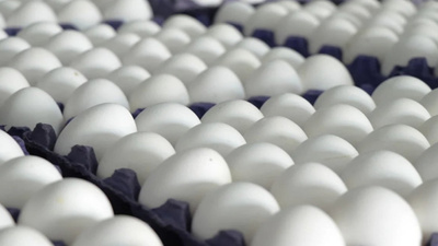 Tarım Bakanlığından 'ilaçlı yumurta' iddialarına yanıt