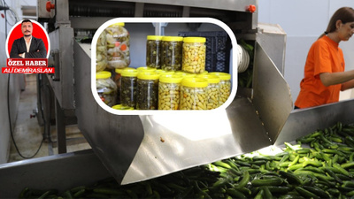 Çubuk'a özgü ev tipi turşu üretim tesisi: Gelenekten sofralara uzanan lezzet