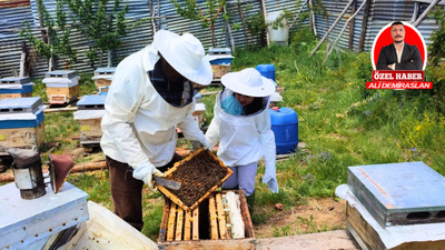 Mehmet Güneş: Sahte ballar halk sağlığını tehdit ediyor