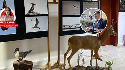 Filamingoların yuvası tehlikede | Seyfe Gölü'nün geleceği kuraklıkla sınanıyor!