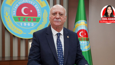 Kahverengi kokarca, Türk fındık sektörünü tehdit ediyor: Şemsi Bayraktar'dan uyarılar