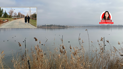 Mogan Gölü bakımsızlıkla mücadele ediyor!