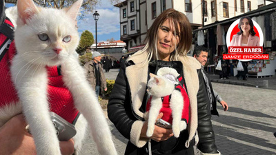Ankara'da üç ay önce sahiplendiği kedisi en yakın arkadaşı oldu