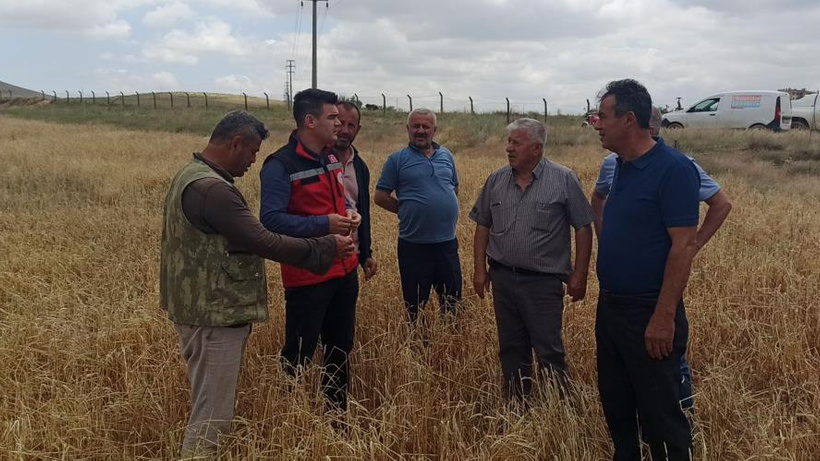 Yoğun yağışlar çiftçinin bir yıllık emeğini çöpe attı