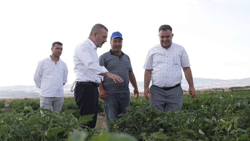 Sincan’da hasat zamanı