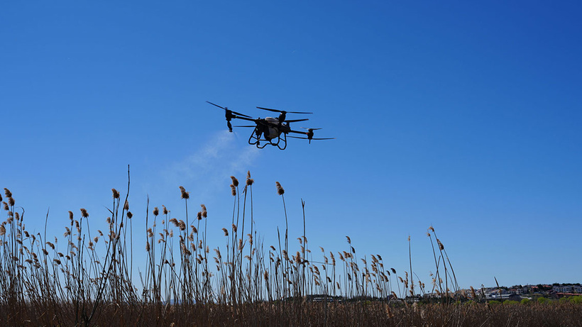 Ankara Gölbaşı Belediyesi drone ile sinek avına çıktı