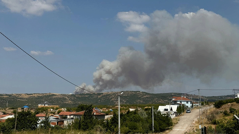 Balıkesir'de orman yangını!