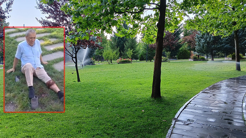 Ankara Altındağ'da yaşlı adama köpek saldırdı