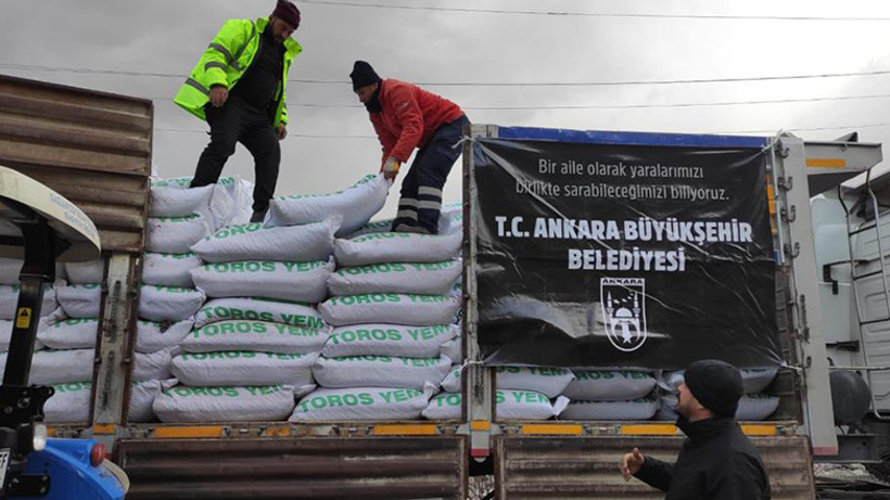 ABB'den deprem bölgesindeki hayvanlara yem desteği