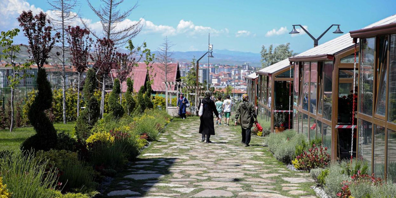 Ankara'da gidilecek mekan yok demeyin: Endemik Vadi sizleri bekliyor