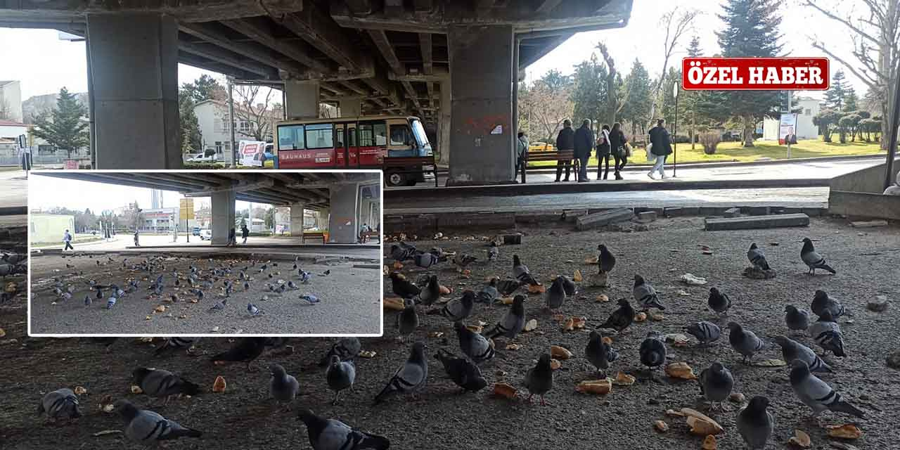 Fatih Köprüsü hem trafik hem de kötü kokudan geçilmiyor!