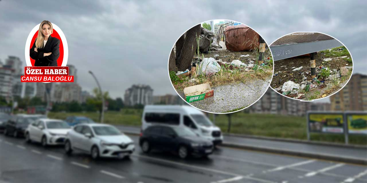 Çukurambar'da başıboş sokak köpeği ve çöp krizi devam ediyor!