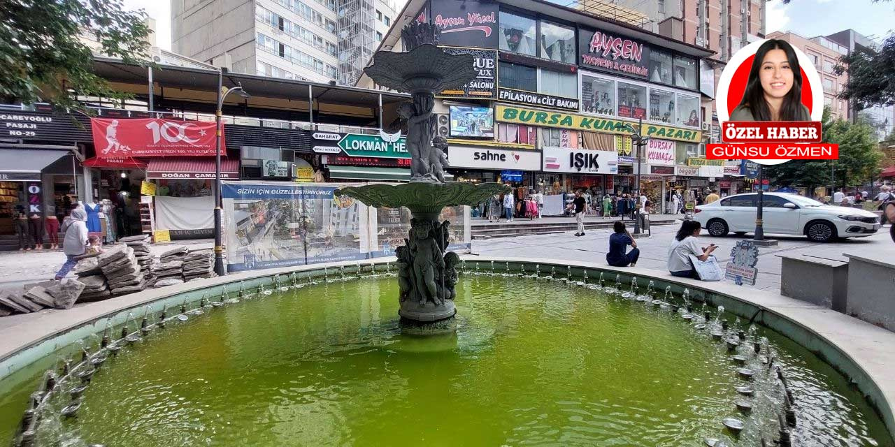 İzmir Caddesi'ndeki süs havuzu sıcaktan yosun bağladı: Vatandaşlar rahatsız