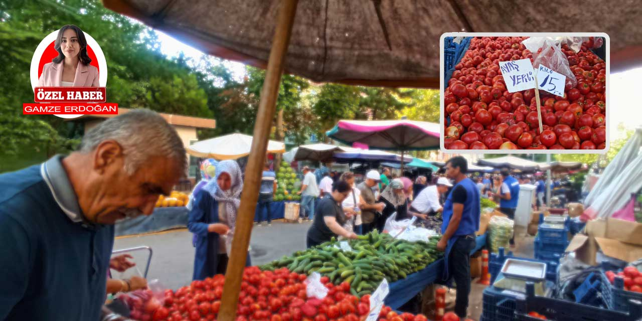 Ankara'nın tescilli ürünü Ayaş domatesi tezgâhlarda yüzleri güldürüyor