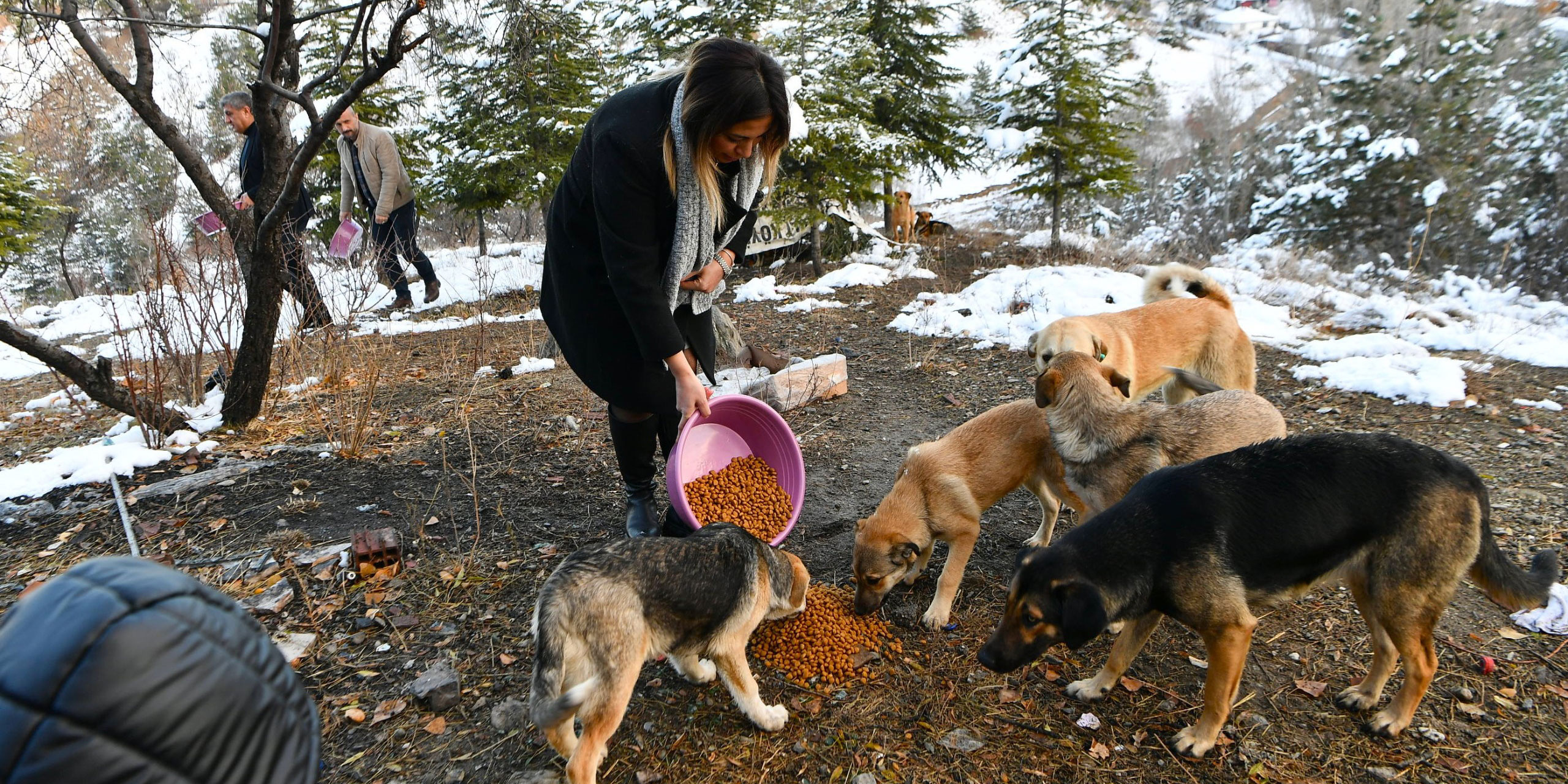 Mamak Belediyesi kış günlerinde sokak hayvanlarını unutmadı