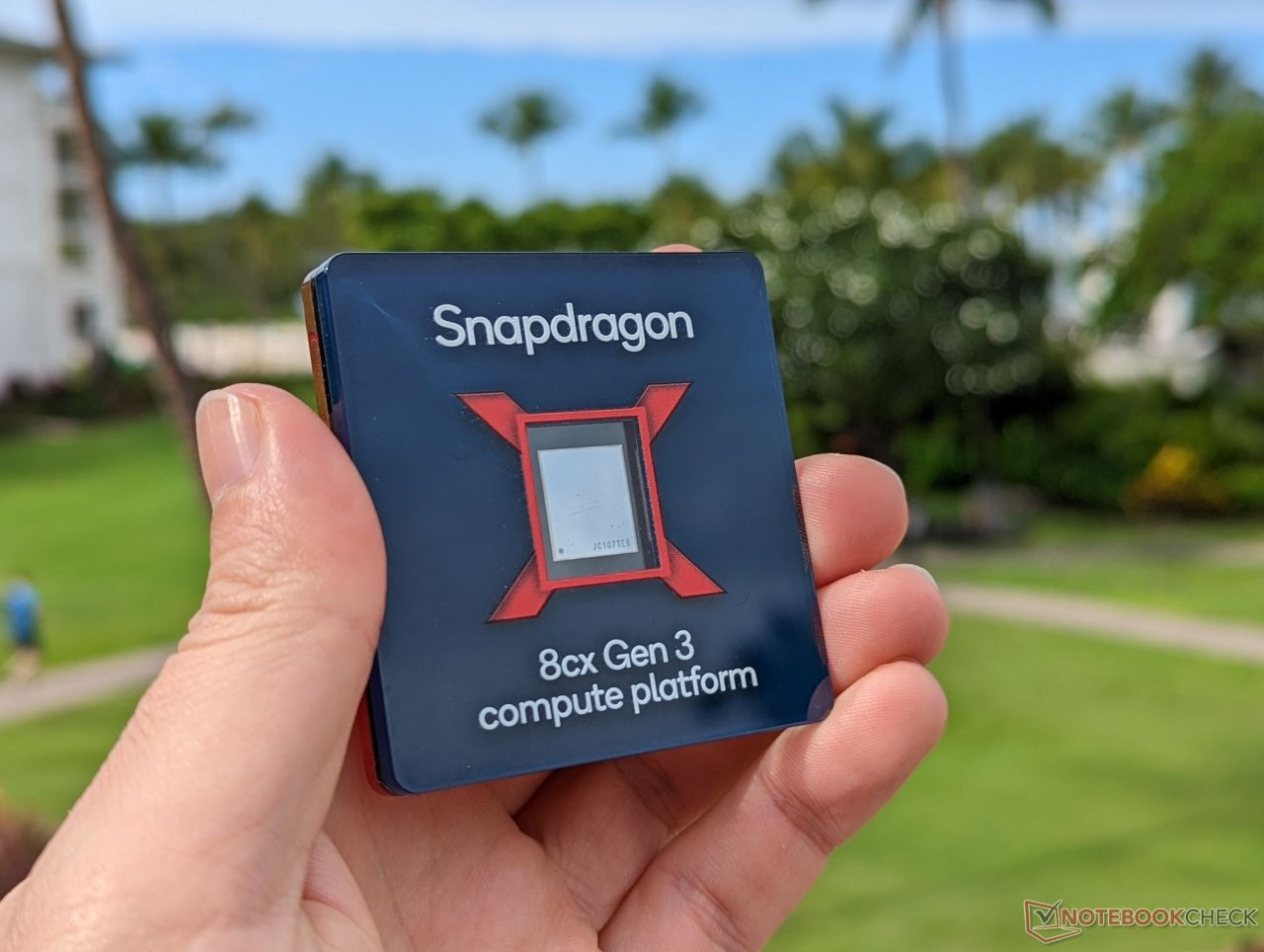 snapdragon-8.jpg